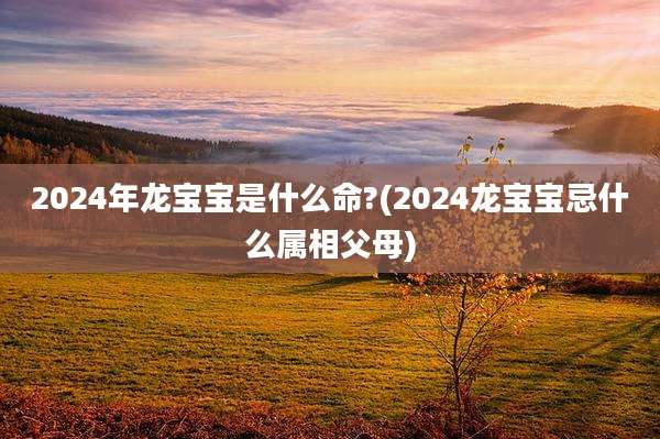2024年龙宝宝是什么命?(2024龙宝宝忌什么属相父母)