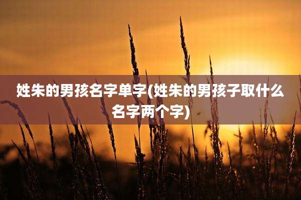 姓朱的男孩名字单字(姓朱的男孩子取什么名字两个字)