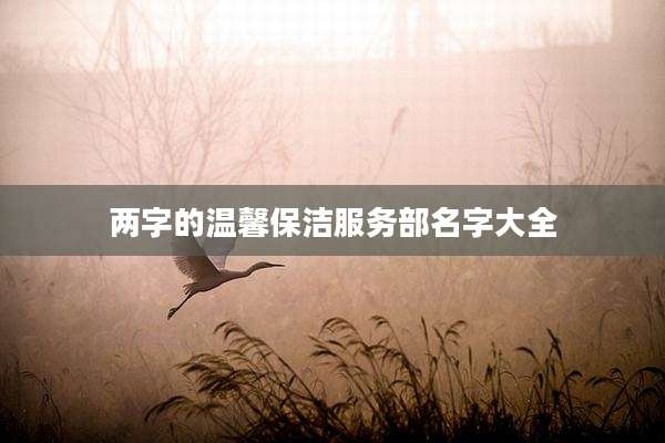 两字的温馨保洁服务部名字大全