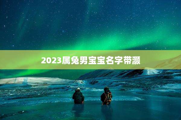 2023属兔男宝宝名字带灏