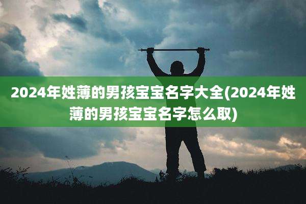 2024年姓薄的男孩宝宝名字大全(2024年姓薄的男孩宝宝名字怎么取)