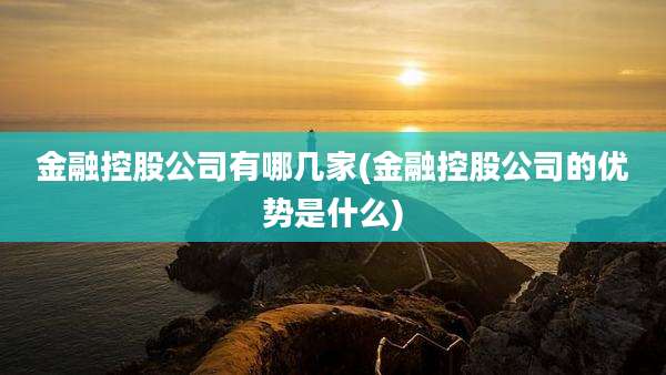 金融控股公司有哪几家(金融控股公司的优势是什么)