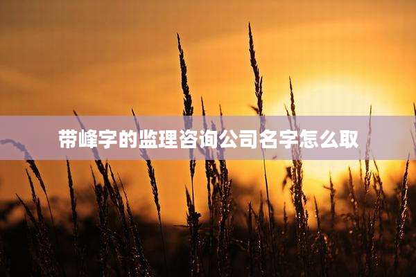 带峰字的监理咨询公司名字怎么取