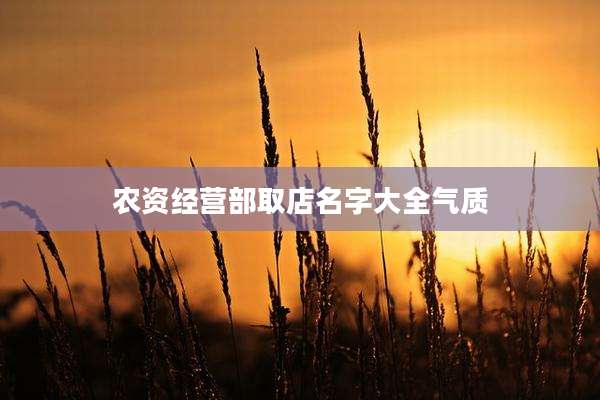 农资经营部取店名字大全气质