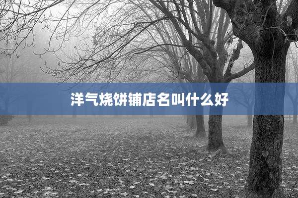 洋气烧饼铺店名叫什么好