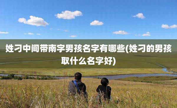 姓刁中间带南字男孩名字有哪些(姓刁的男孩取什么名字好)