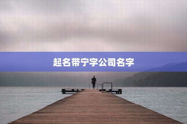 起名带宁字公司名字