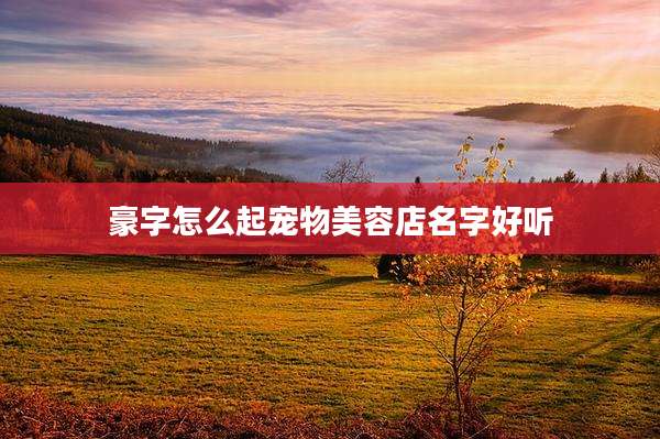 豪字怎么起宠物美容店名字好听