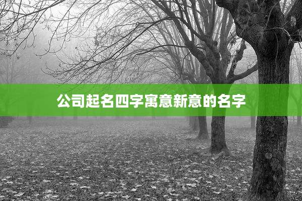 公司起名四字寓意新意的名字