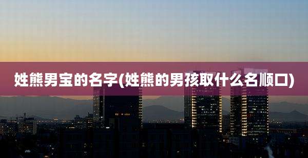 姓熊男宝的名字(姓熊的男孩取什么名顺口)