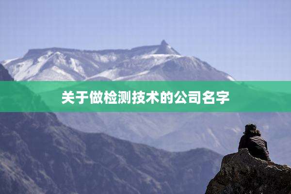 关于做检测技术的公司名字