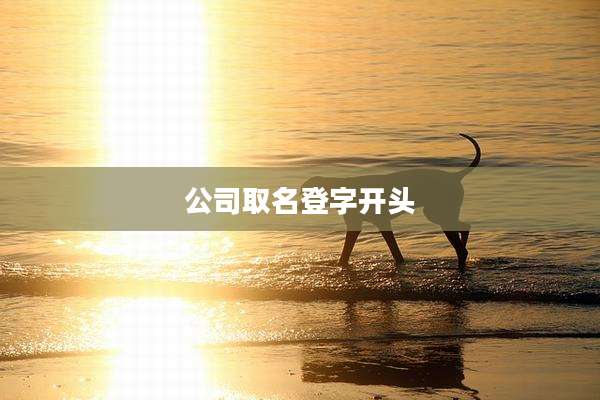 公司取名登字开头