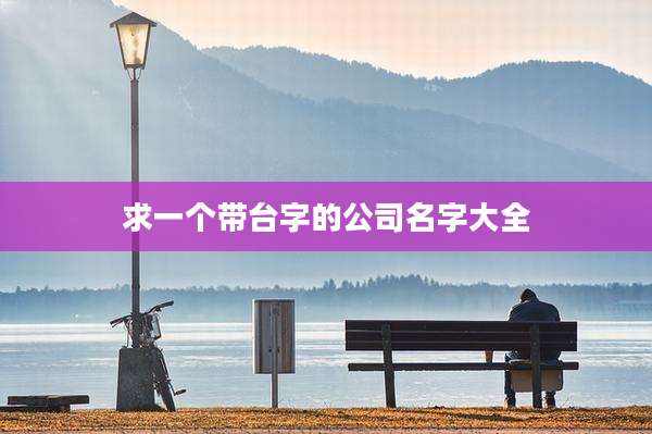 求一个带台字的公司名字大全