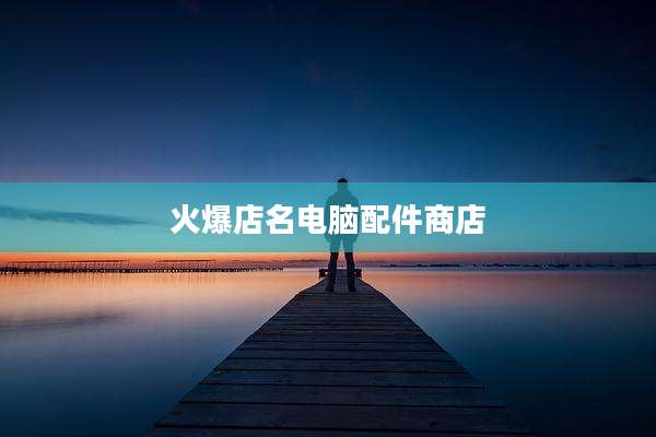 火爆店名电脑配件商店