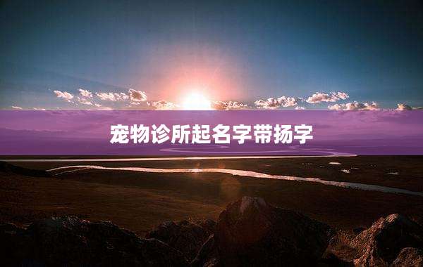 宠物诊所起名字带扬字