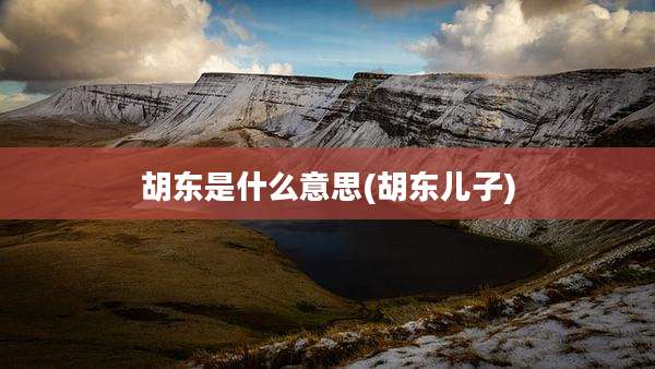 胡东是什么意思(胡东儿子)