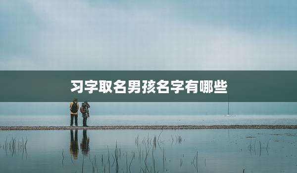 习字取名男孩名字有哪些