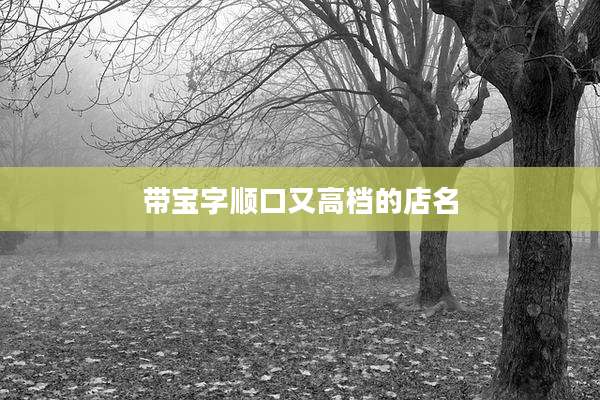 带宝字顺口又高档的店名