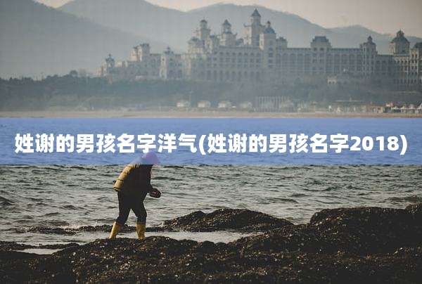 姓谢的男孩名字洋气(姓谢的男孩名字2018)