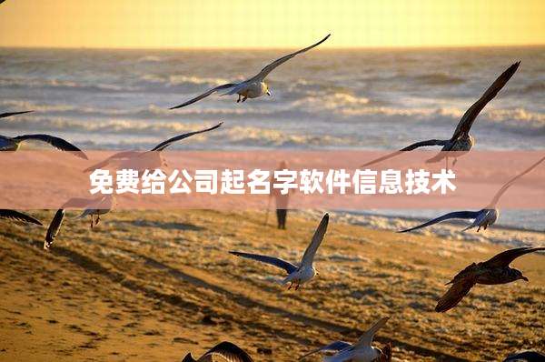 免费给公司起名字软件信息技术