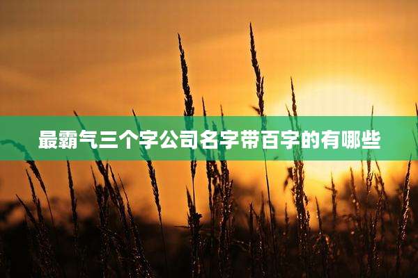 最霸气三个字公司名字带百字的有哪些