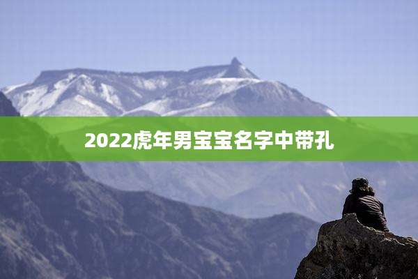 2022虎年男宝宝名字中带孔