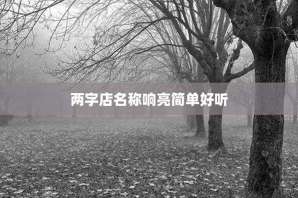 两字店名称响亮简单好听
