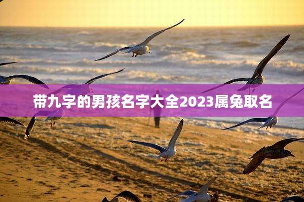 带九字的男孩名字大全2023属兔取名