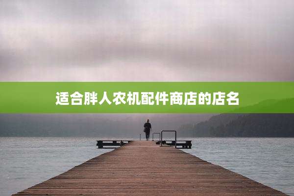 适合胖人农机配件商店的店名