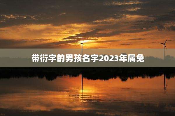 带衍字的男孩名字2023年属兔