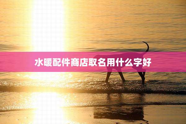 水暖配件商店取名用什么字好