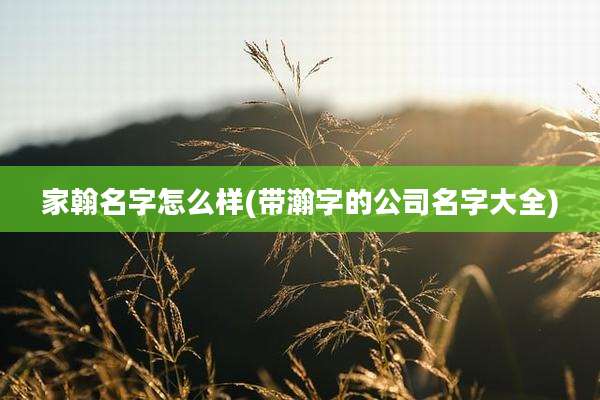 家翰名字怎么样(带瀚字的公司名字大全)