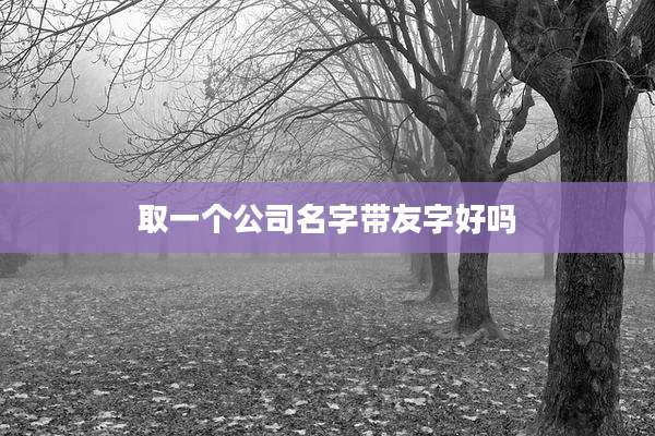 取一个公司名字带友字好吗