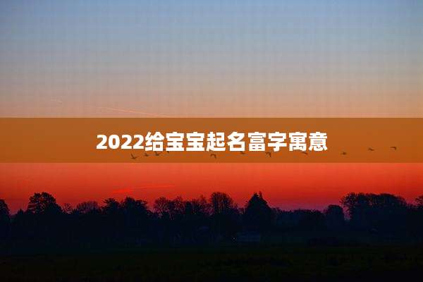 2022给宝宝起名富字寓意