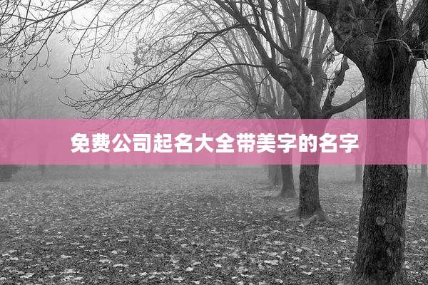 免费公司起名大全带美字的名字