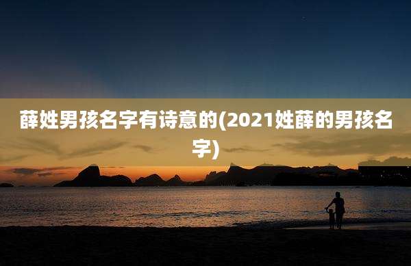 薛姓男孩名字有诗意的(2021姓薛的男孩名字)