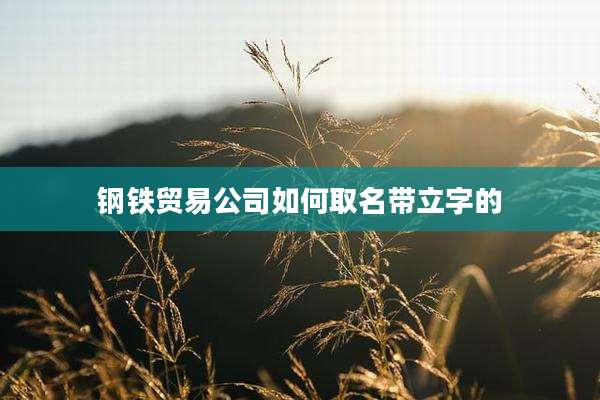 钢铁贸易公司如何取名带立字的