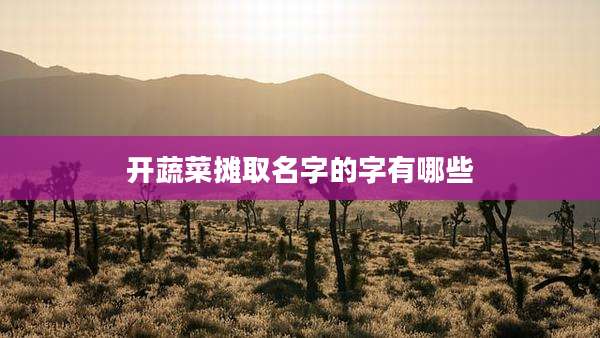 开蔬菜摊取名字的字有哪些