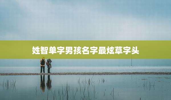 姓智单字男孩名字最炫草字头