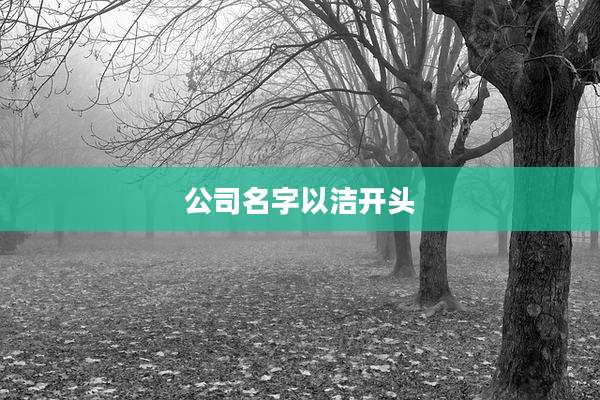 公司名字以洁开头