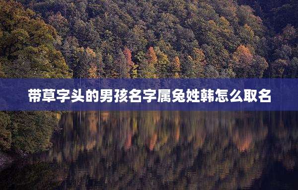 带草字头的男孩名字属兔姓韩怎么取名