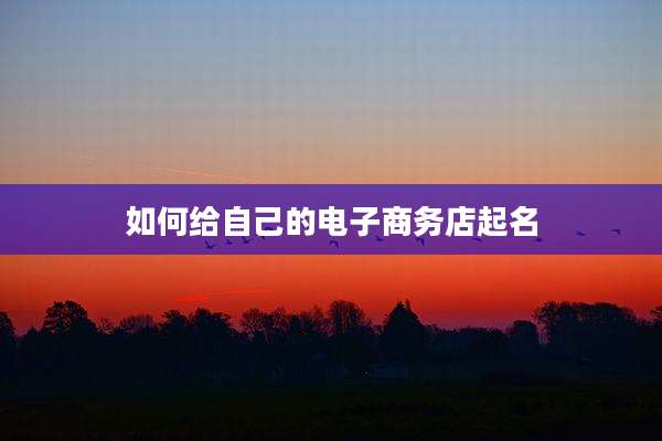 如何给自己的电子商务店起名