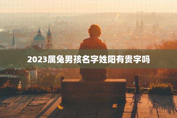 2023属兔男孩名字姓阳有贵字吗