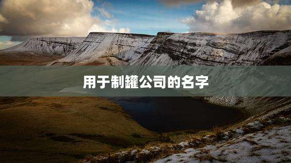 用于制罐公司的名字