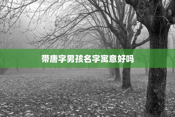 带唐字男孩名字寓意好吗
