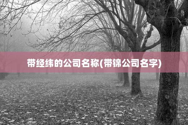 带经纬的公司名称(带锦公司名字)