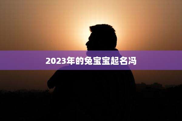 2023年的兔宝宝起名冯