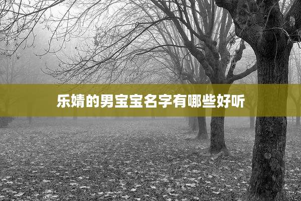 乐婧的男宝宝名字有哪些好听