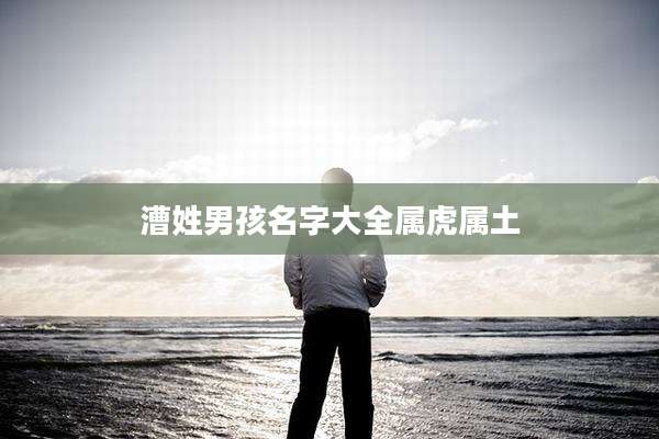 漕姓男孩名字大全属虎属土
