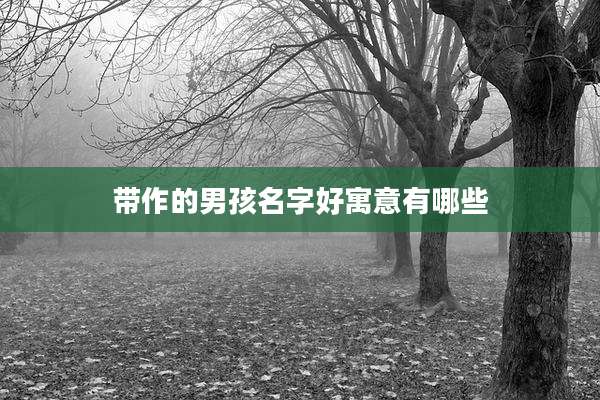 带作的男孩名字好寓意有哪些